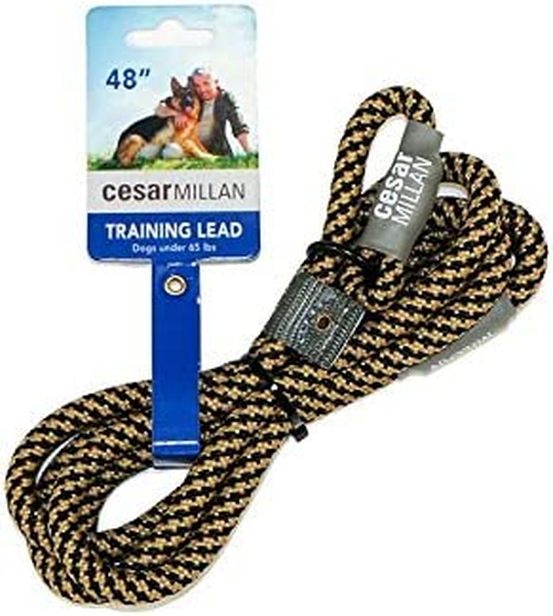 Slip Lead Leash™ - Slip Collar Training Lead Gives You Greater Control and the Ability to Make Quick and Gentle Corrections (Regular, Black)