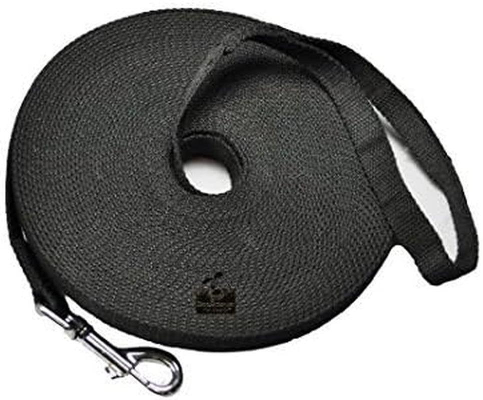 Dog Puppy Obedience Recall Training Agility Lead - Great for Training, Play, Camping, or Backyard