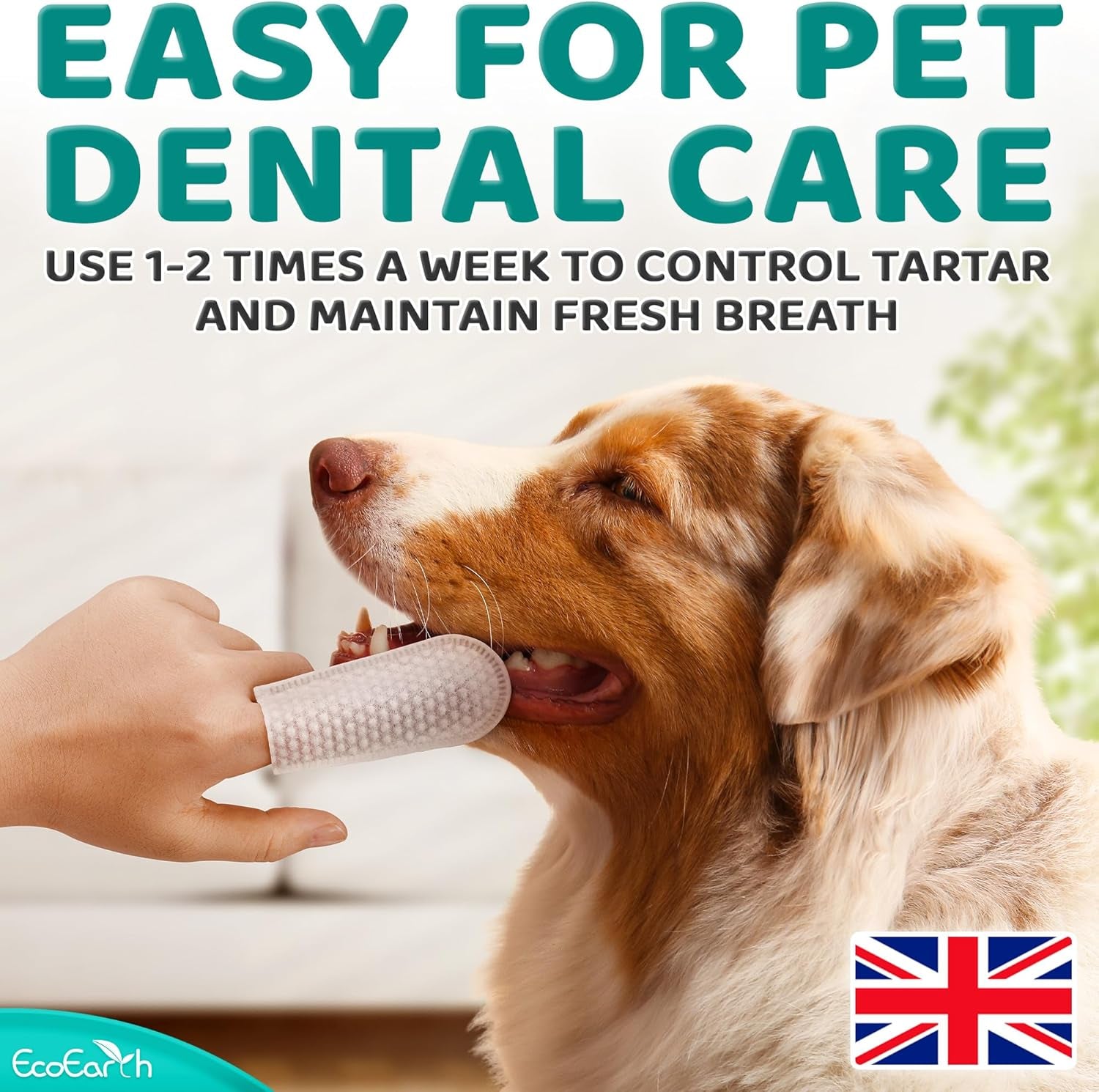 Premium Teeth Cleaning Wipes for Dogs & Cats - 50 Pcs - Pet Dental Care Finger Pads for Fresh Breath & Oral Hygiene - Embossed Pattern & Nano Plastic-Dotting to Remove Plaque & Tartar