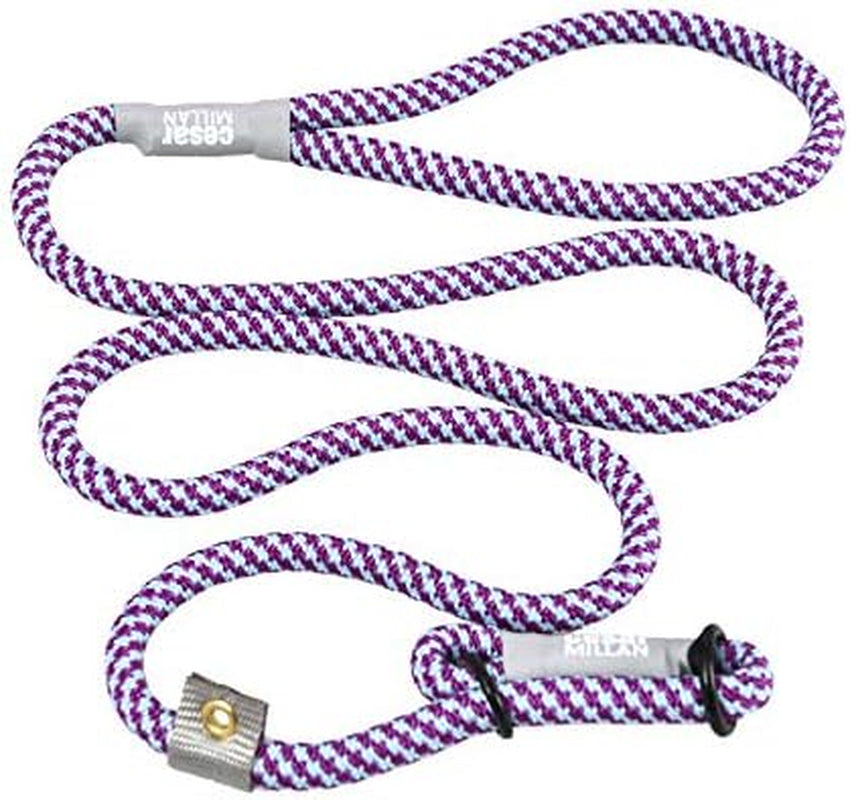 Slip Lead Leash™ - Slip Collar Training Lead Gives You Greater Control and the Ability to Make Quick and Gentle Corrections (Regular, Black)