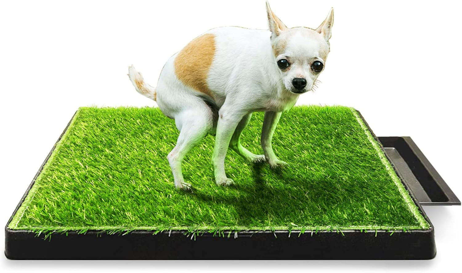 Dog Toilet Indoor Puppy Training Pad, Dog Potty Pet Training Grass Mat, Removable Waste Tray for Easier Clean Up, Non-Toxic Artificial Turf, (76×51 Cm)