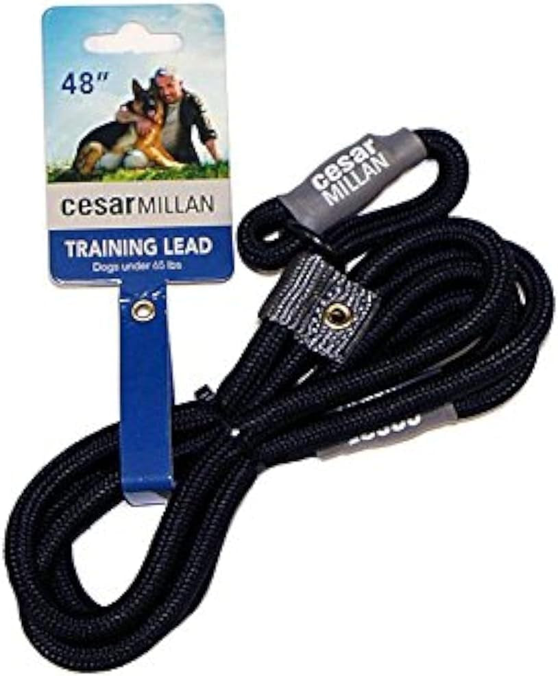 Slip Lead Leash™ - Slip Collar Training Lead Gives You Greater Control and the Ability to Make Quick and Gentle Corrections (Regular, Black)