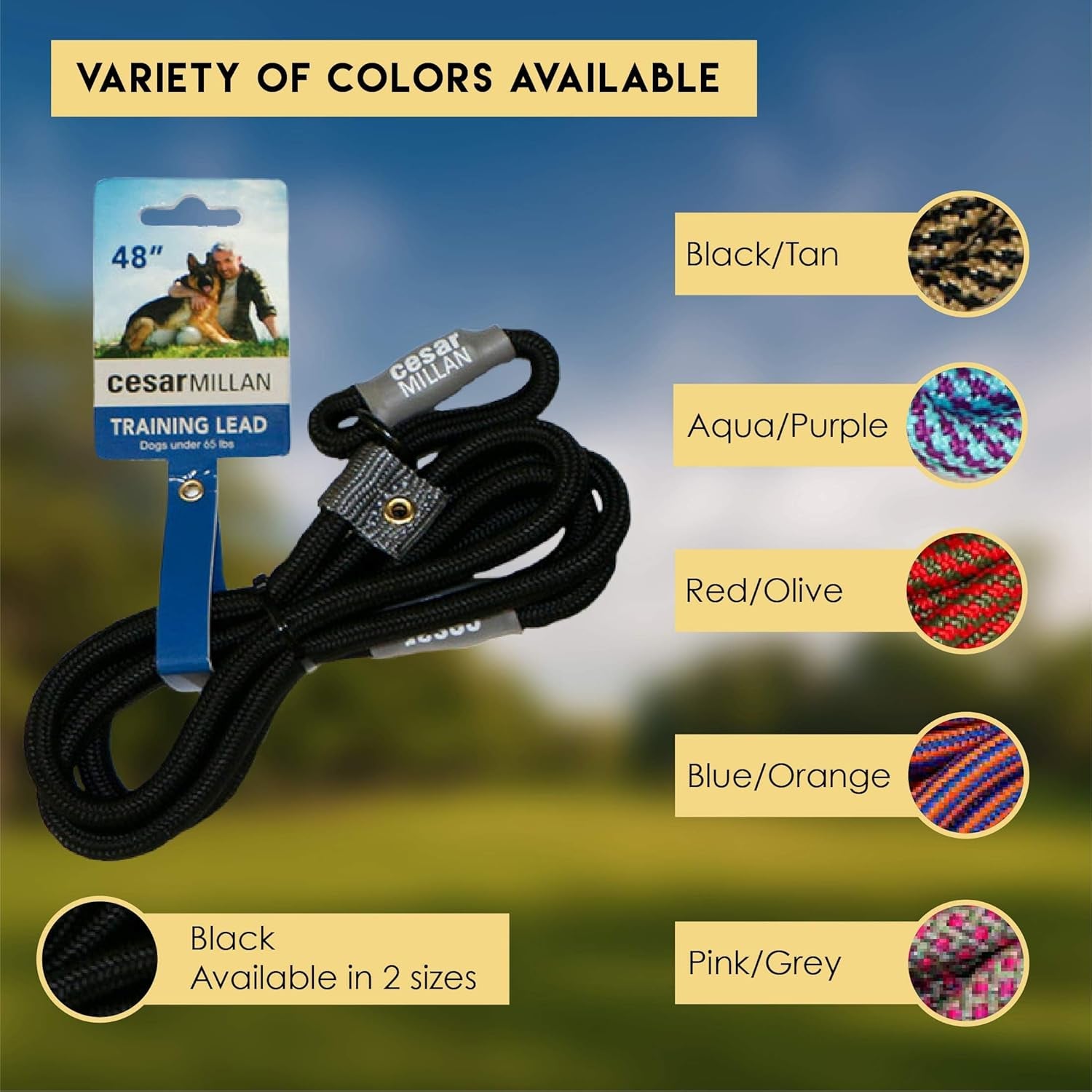 Slip Lead Leash™ - Slip Collar Training Lead Gives You Greater Control and the Ability to Make Quick and Gentle Corrections (Regular, Black)