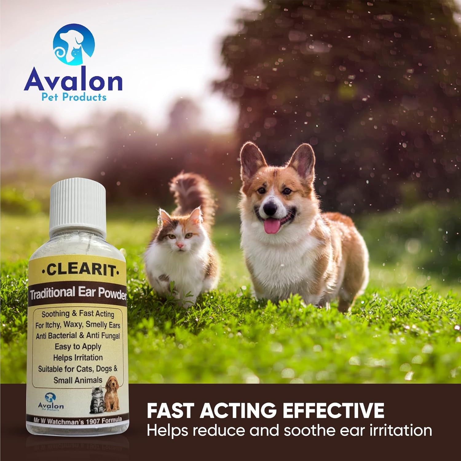 Clearit Ear Powder Fast Acting Stops Discomfort, Head Shaking, Wax, Gunk & Ear Odour Super Effective 20G