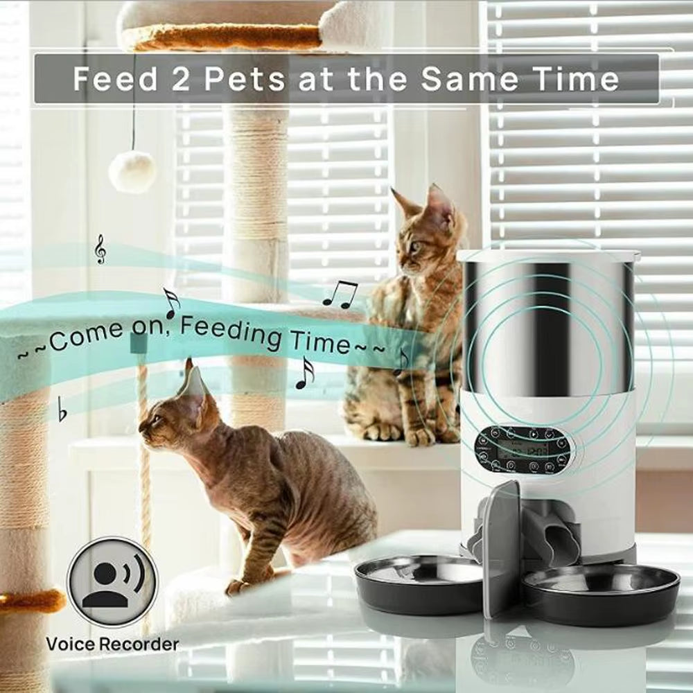 Smart APP Pet Feeder Cat and Dog Food Automatic Dispenser Stainless Steel Bowl Cats and Dogs with Recording Timing Feeding