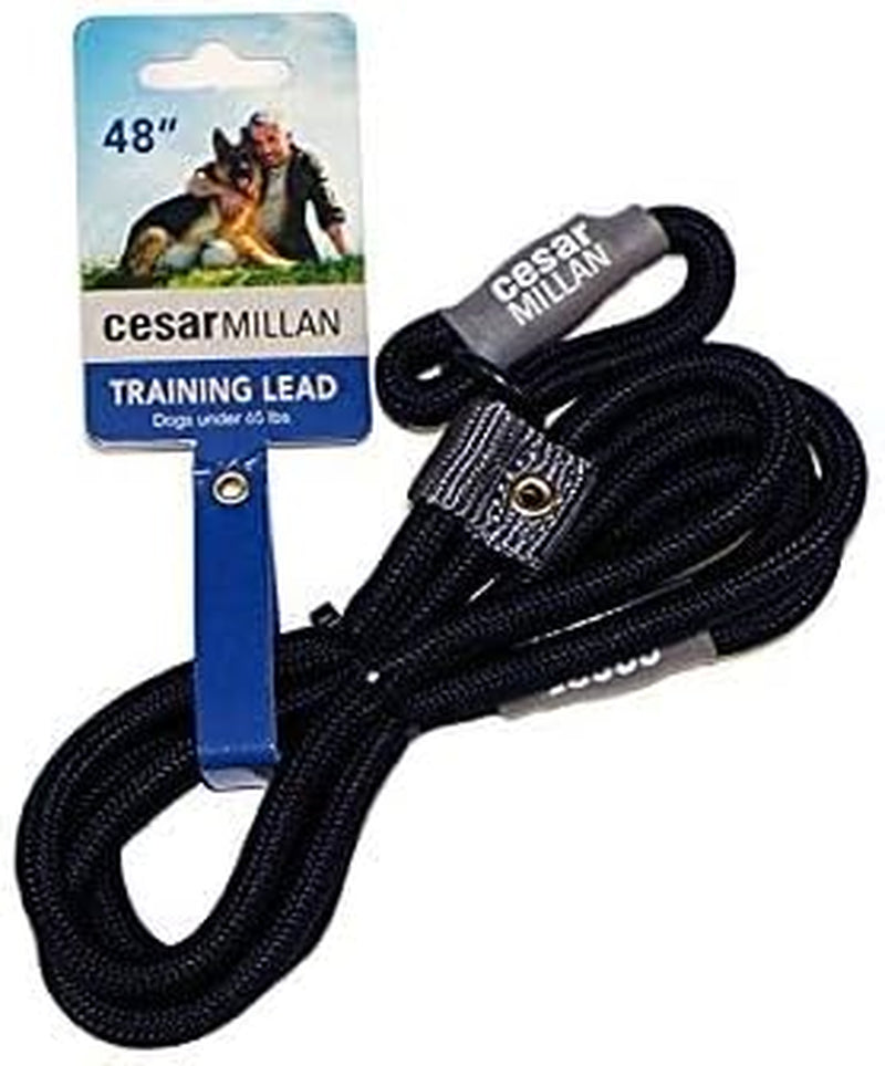 Slip Lead Leash™ - Slip Collar Training Lead Gives You Greater Control and the Ability to Make Quick and Gentle Corrections (Regular, Black)