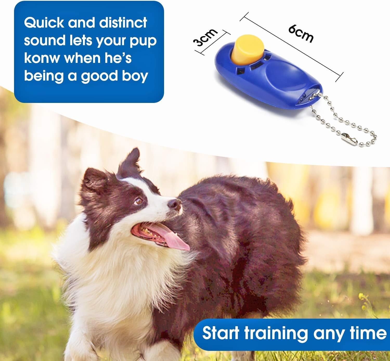 50 Ft Long Leash for Dog Training, Play, Camping, or Backyard Lead with Free Training Clickers for Small, Medium and Large Dogs (Blue)