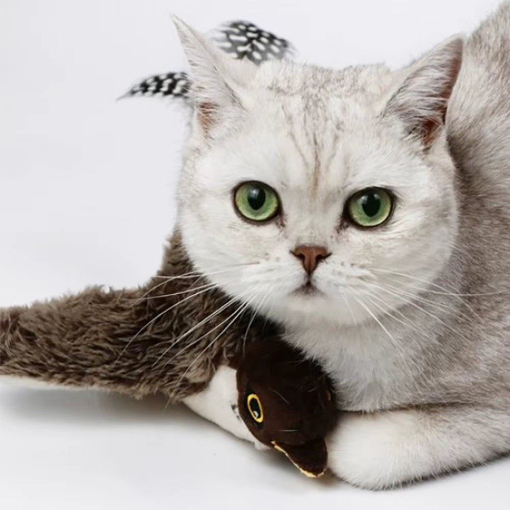 30CM Dancing Bird Cat Toys Interactive Catnip Exercise Toys for Indoor Cats