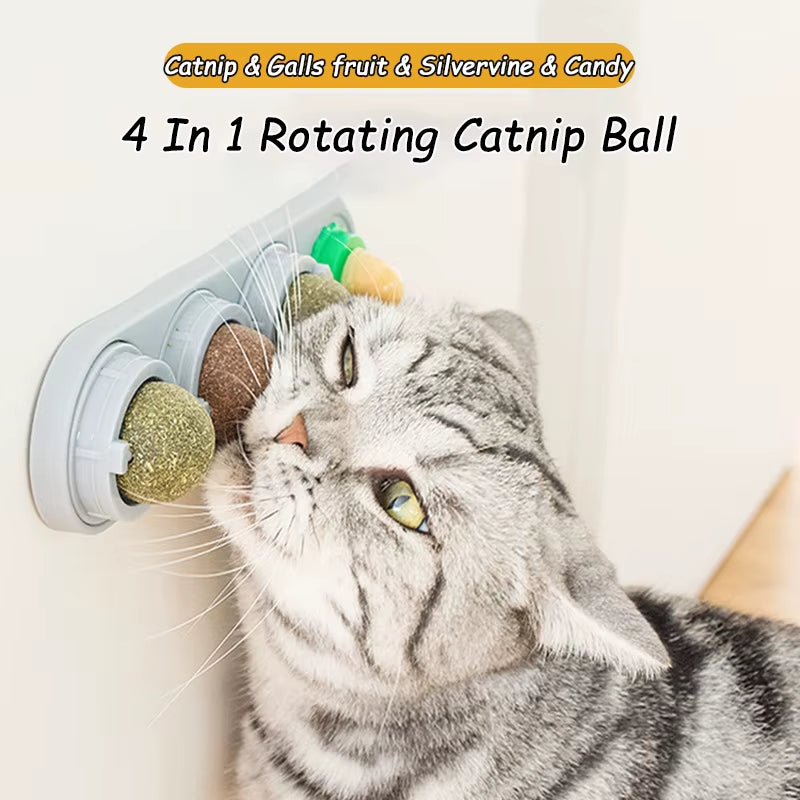 Natural Catnip Cat Wall Stick-On Ball Toy Scratchers Treats Healthy Natural Removes Balls to Promote Digestion Cat Grass Snack