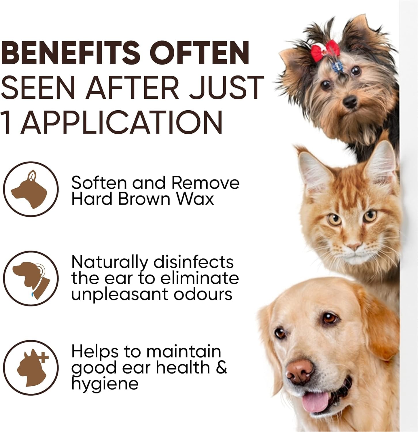 Clearit Ear Powder Fast Acting Stops Discomfort, Head Shaking, Wax, Gunk & Ear Odour Super Effective 20G