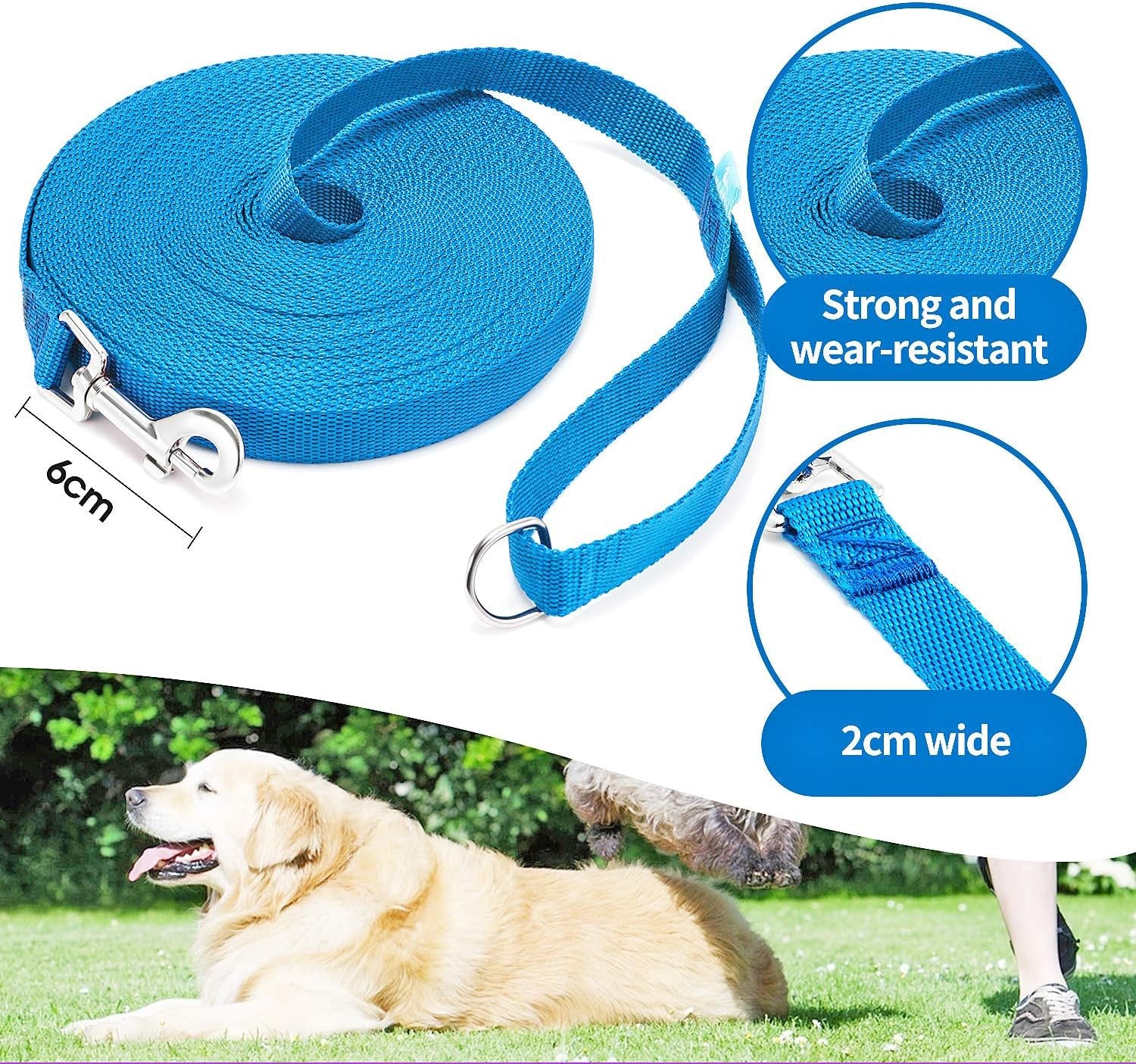 50 Ft Long Leash for Dog Training, Play, Camping, or Backyard Lead with Free Training Clickers for Small, Medium and Large Dogs (Blue)